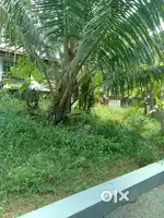 Land and housing plot for sale