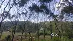 2 Acre 63 cent Land For Sale In Kottathara Wayanad