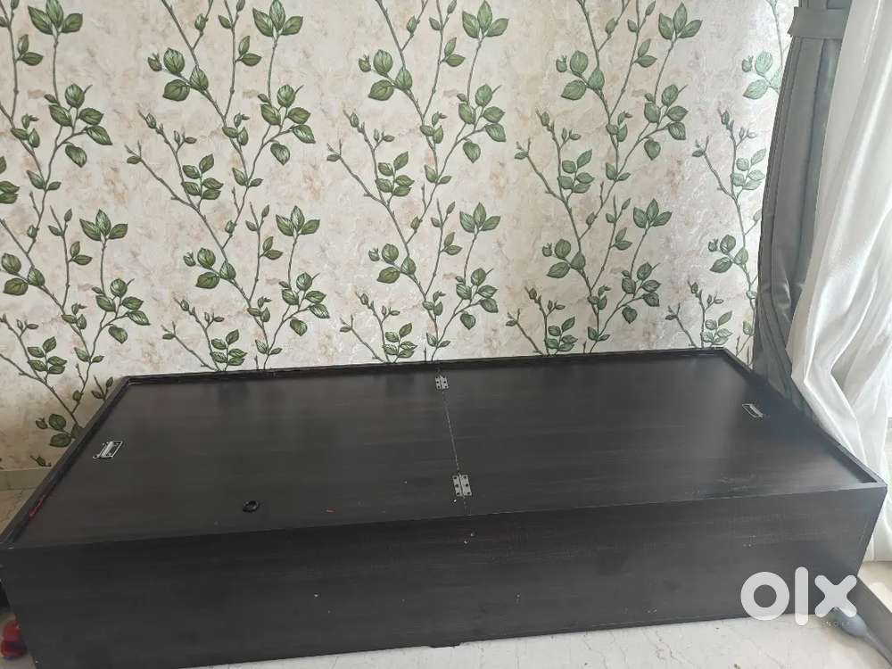 Single bed ( diwan)