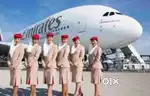 Female Air Hostess/Cabin Crew Job opportunity in Leading Airline