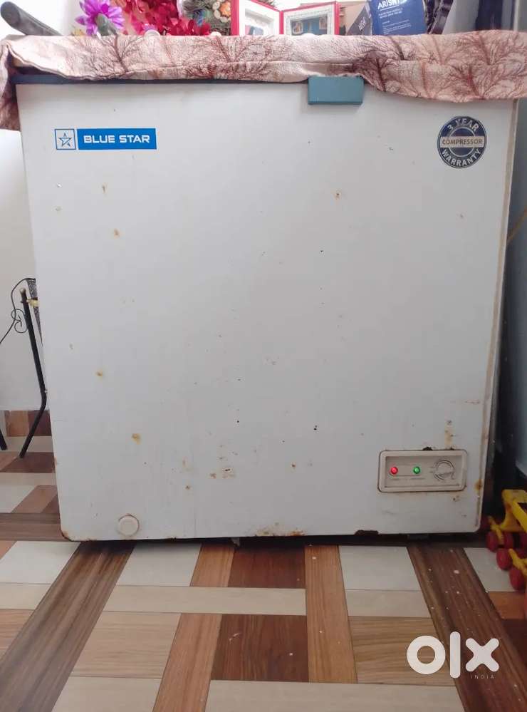 Blue star dee freezer