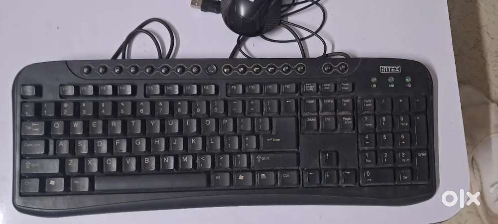 INTEX KEYBOARD AND PORTRONICS MOUSE GOOD CONDITION