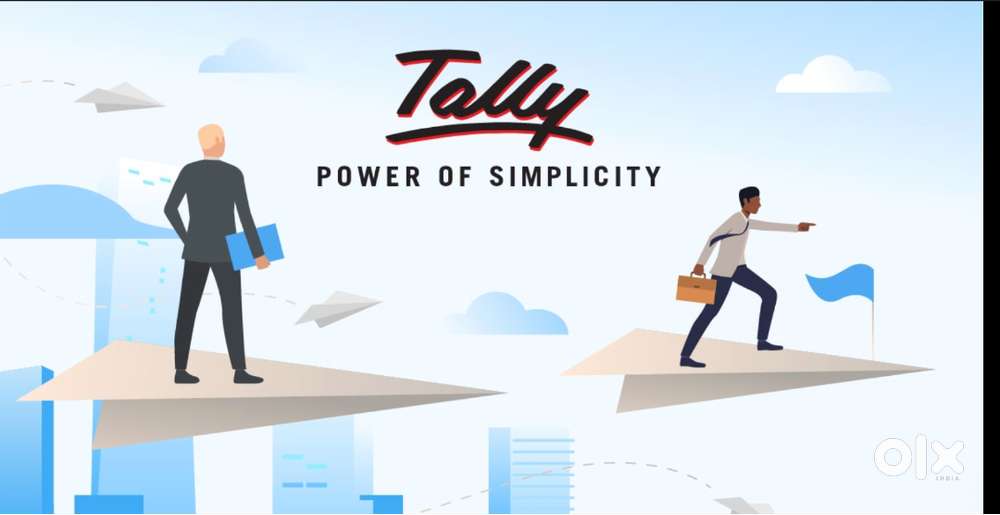 Accountant for Tally