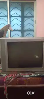 colour television