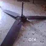 Orient general fan