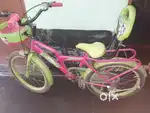 Dster-Bicycle(Dster joey)