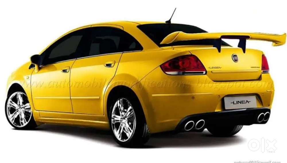 Wanted delivery staff male/female