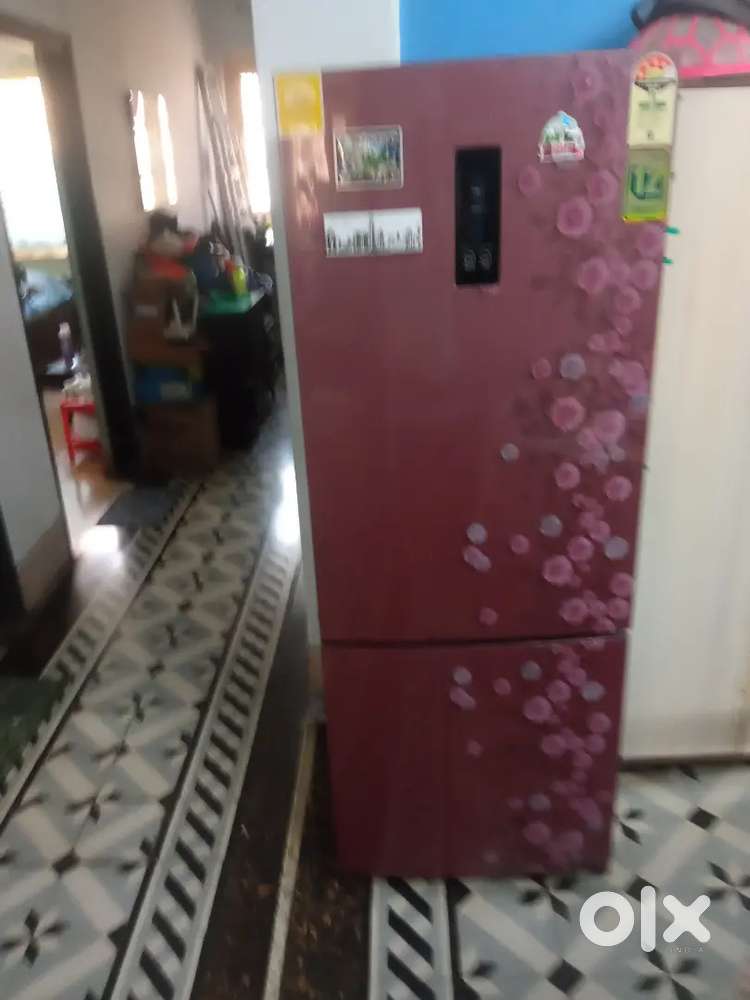 Hair Fridge 330 ltr