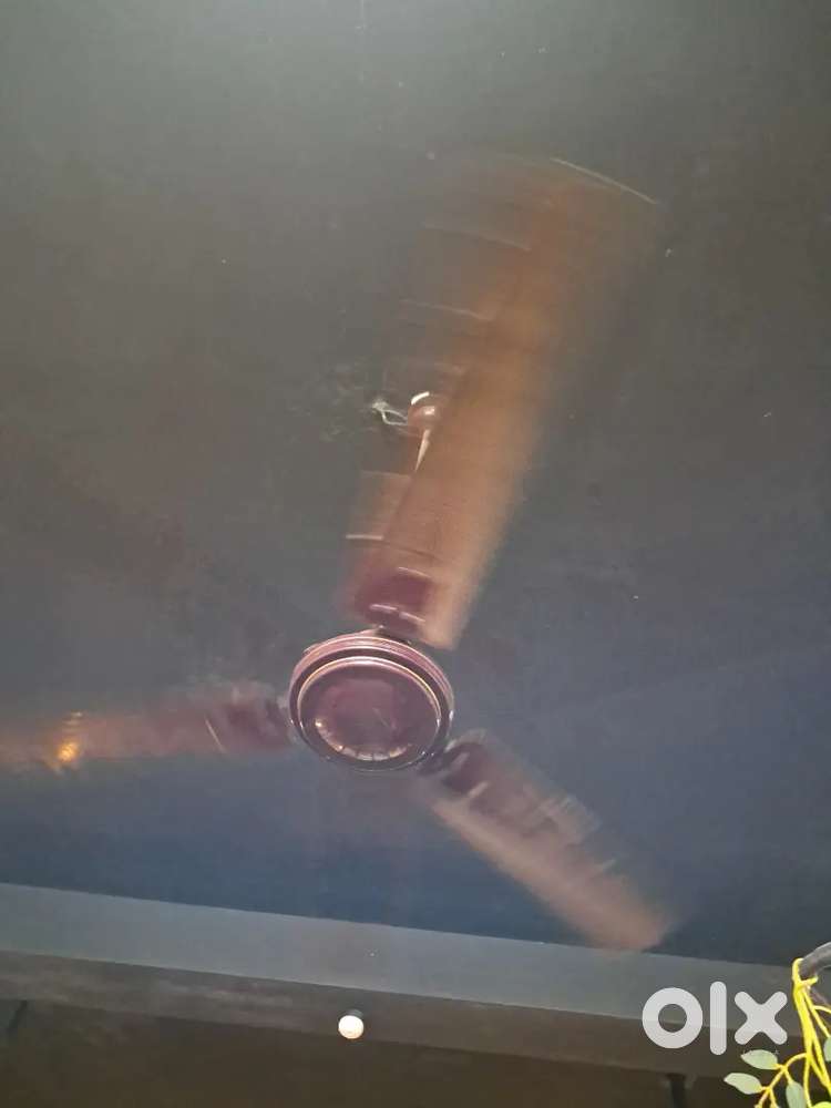 Ceiling fan