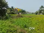 Prime Land for Sale in Sibnagar – Roadside, Ideal location