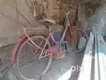 Bicycle sell
