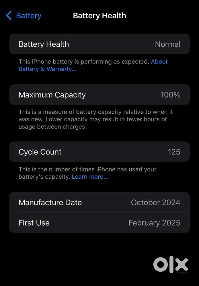 15plus blue 256 gb