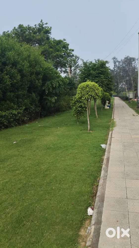 3bhk 3 washroom for rent for anyone
