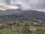 25, Sent Farms Land Kodaikanal Pannaikadu Available