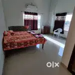 taramandal