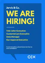 Female telecaller (FC)