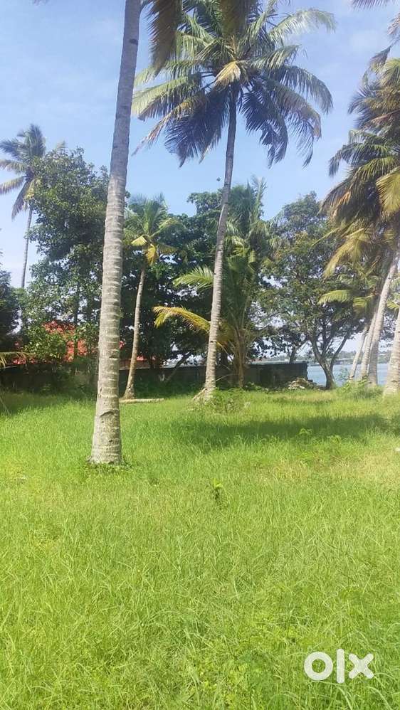 Ashtamudi lake frontage property near sambranikodi island for sale