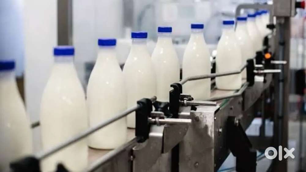 Wanted m/ f counter staffs / packing staffs