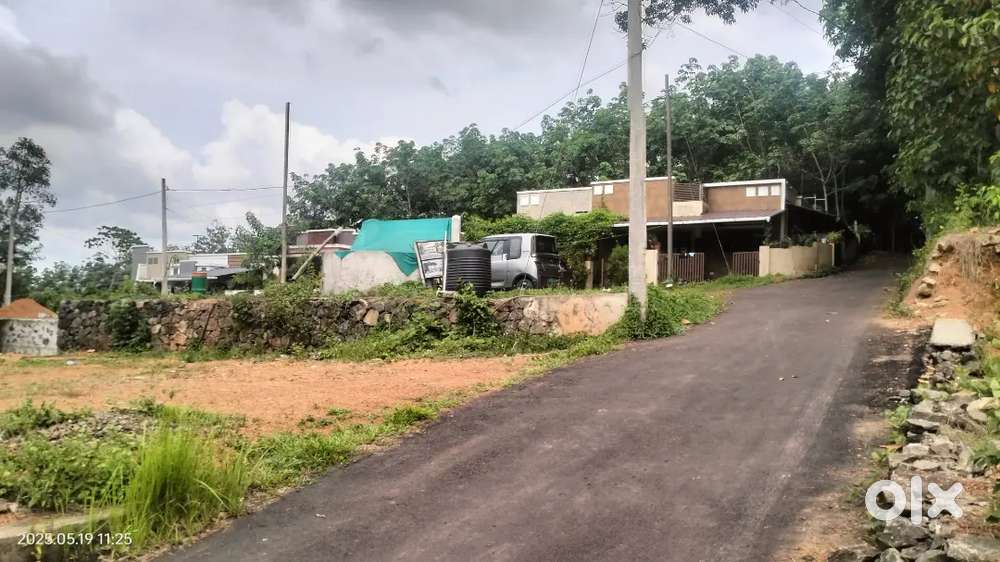 Thripunithura Thiruvankulam vennikulam area plot for sale