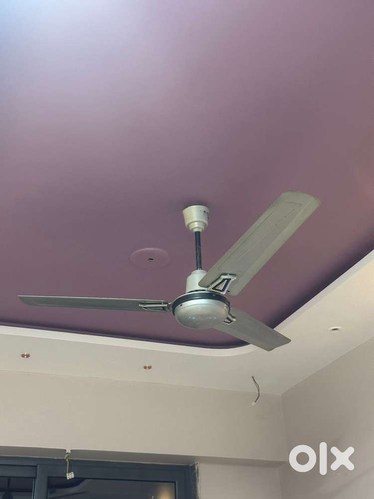 Fancy ceiling fans