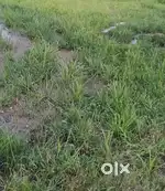 100,200,gaj plot in mansa devi ,lease