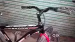 Avon brand light weight cycle.