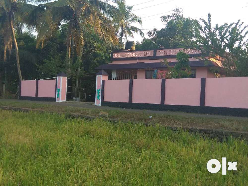 12 cent land with house in Appanchira, Kaduthuruthy
