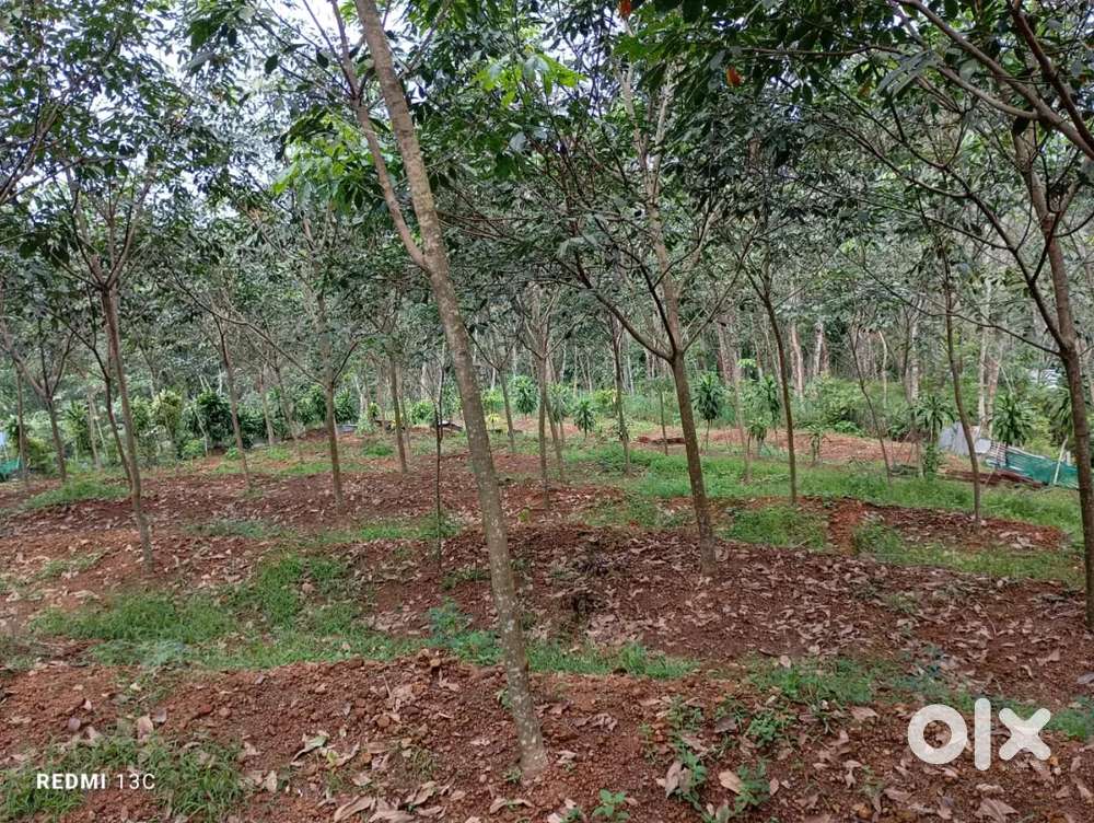 7 and 27 cents land for sale