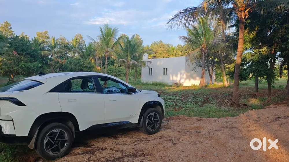 Ithaka international school near