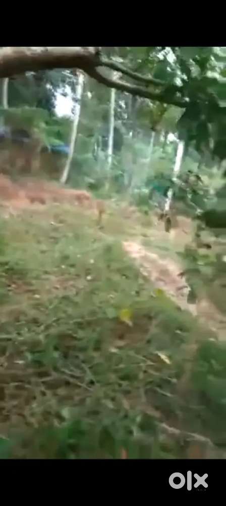 Plot for sake near vizhinjam harbour , Trivandrum