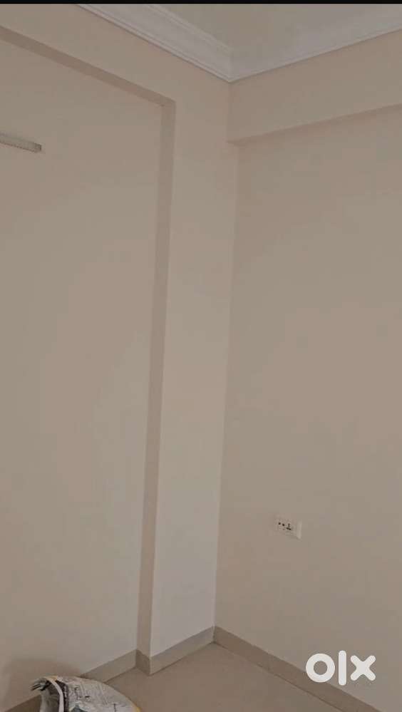 2 bhk furnished flat available on rent Old Palasiya