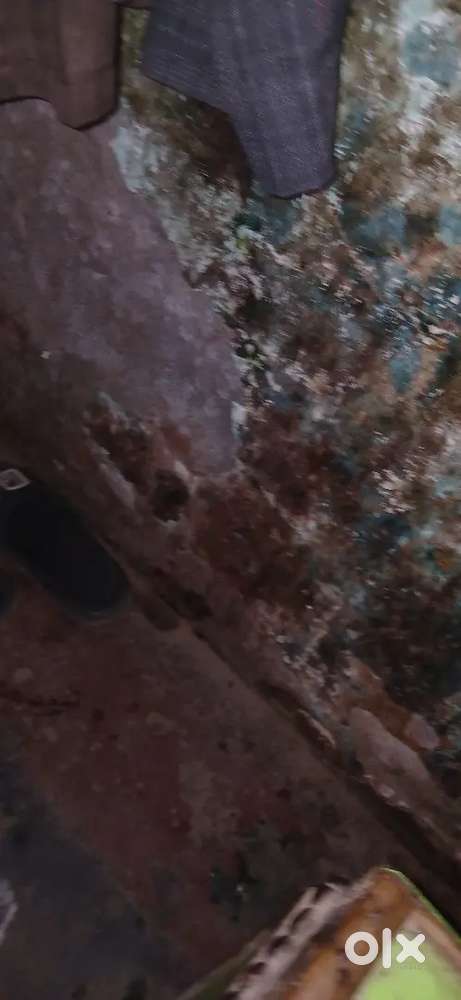 Shajamal rorawar aligarh selliing plot rorawar