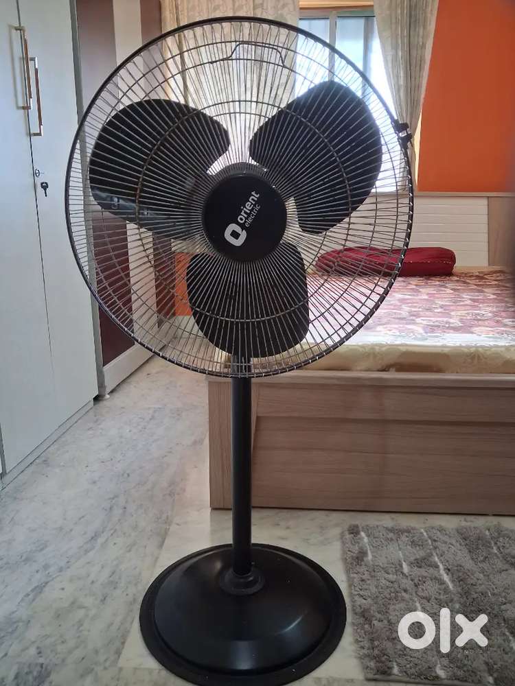 Electric Stand Fan