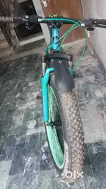 A1 condition 10 month old only
