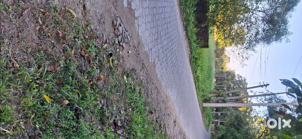 Jorhat JB road (LNB road )Disoikash Brahmin Gaon.