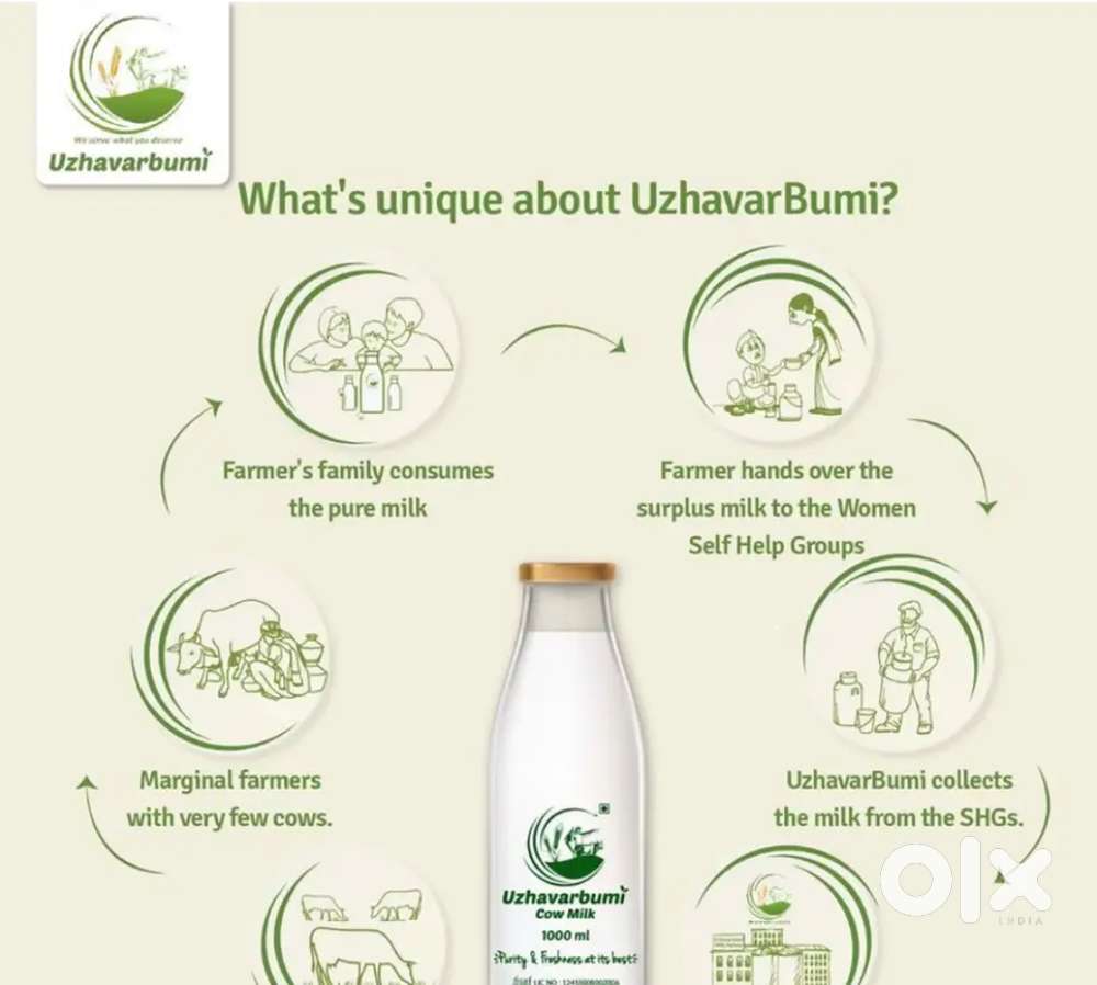 uzhvarbumi milk shop