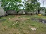 Gombaded bore and trees& room
