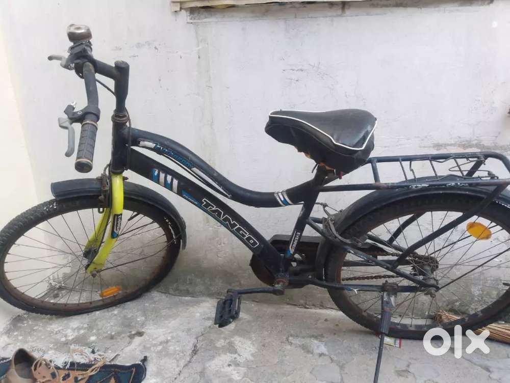 Girls and boys cycle