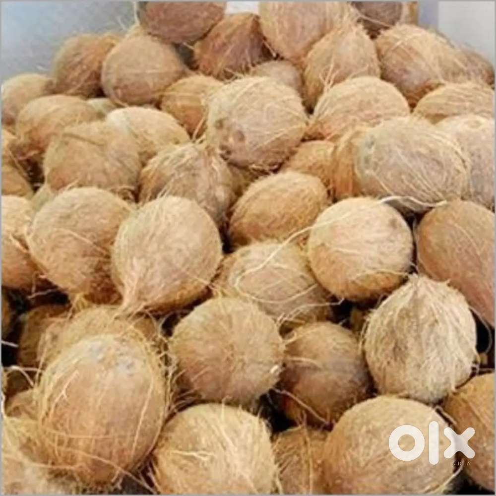 New Sifal - Nariyal 2 pic 60