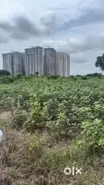Prime 6 Acres Land for Sale – Tellapur, Hyderabad