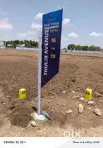 2.5CENT LAND SALE FOR SALE IN PAPPAMPATTI PIRIVU