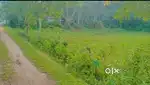Want to sale ready to move plot
