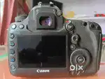 CANON mark 3 best co