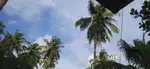 ಮಗುವನ್ನು ನೋಡಿಕೊಳ್ಳಲು ಮಹಿಳೆ ಬೇಕಾಗಿದಾರೆ..
