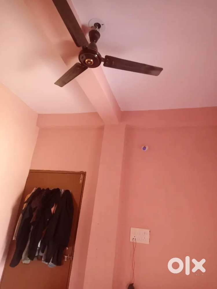 Need Roommate vegetarian