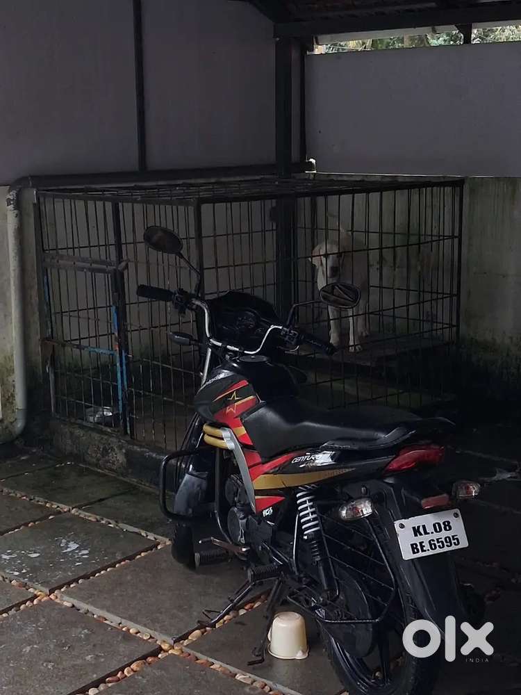 Mahindra centuro for sale