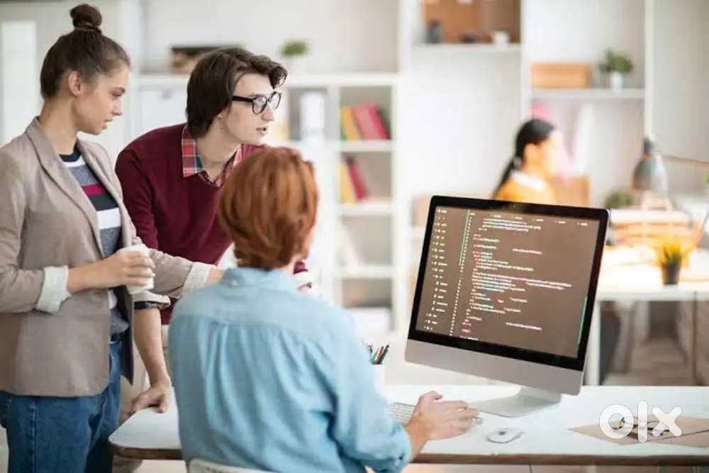 ویب سائٹ ڈویلپر