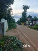 Commercial Land for Rent