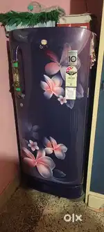 Fridges lg