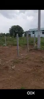 Krishna Nagar plot For Sale Behind Reshmi College Kusnoor Road